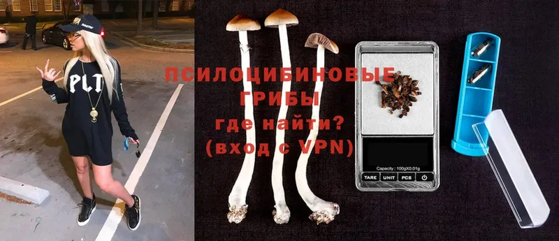 наркошоп  гидра маркетплейс  Галлюциногенные грибы MAGIC MUSHROOMS  Реутов 